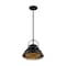 Nuvo Fixture, Pendant, 1-Light, Incandescent, 60W, 120V, A19, Medium Base 60/7074 - alternate 1